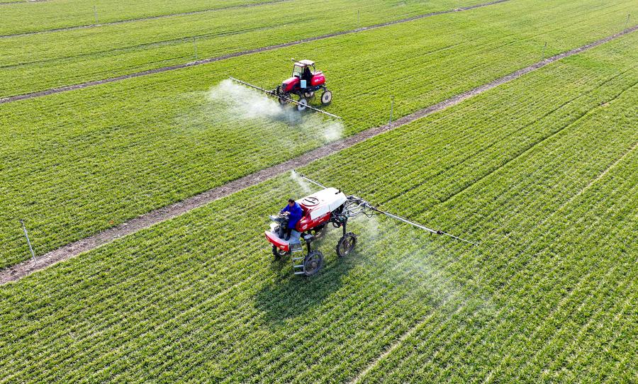 Agriculture